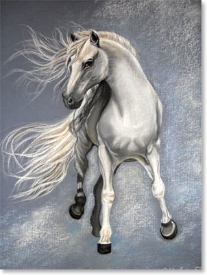 The-White-Horse